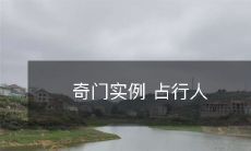 通过奇门实例探究占行人的神秘现象