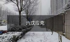 六戊遭遇挑战:如何克服?