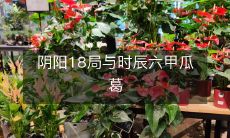 如何通过掌握阴阳18局和时辰六甲瓜葛来提升命理学技能?