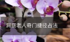 洞庭老人经验丰富的奇门遁甲捷径占法揭秘