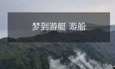 缓缓驶离码头,花瓣飘落在蔚蓝海面上——畅游心灵之旅:沉浸梦中游艇 游船之中