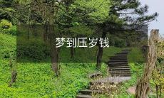 被长辈送压岁钱的梦，暗示着额外的财运将要降临？