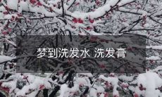 在梦中体验洗发产品:清新洁发的洗发水和洗发膏给你令人舒畅的头皮体验