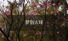 在梦中眼见的奇观:被火球包围的梦境体验