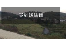 梦中出现螺丝锥的奇幻体验：探索梦境中的意义和可能的启示