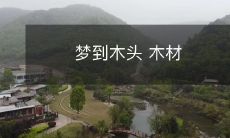 成为梦境中的主角:从梦见木头到探索木材产业的奥秘