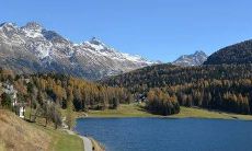 2021年3月24日适合搬家吗?探讨这个乔迁吉日是否适合搬家迁居,让您的搬家计划更加完美和顺利!