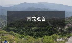 青龙返首：神龙兴起，亿万世代凝聚起的伟大荣耀！