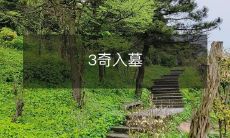 探寻古墓秘密：揭秘三位异乎寻常的墓主人入墓传奇