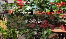 教你凿出完美尺寸的心形:凿心歌诀