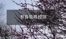 经验的孕妇：通过过往的生育经历，准确预测即将到来的分娩过程