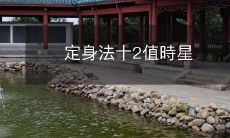 揭秘十二星座中的定身法——解读每个星座的十二个价值时刻