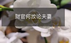 财政官员何以对夫妻关系进行探讨与论述?