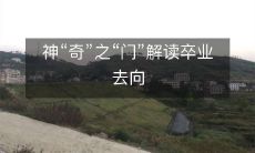 揭秘神秘的“奇门卒业去向门”,揭示毕业生的未来发展趋势