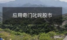 利用奇门遁甲术进行股市投资策略，风驰电掣的掌控股市