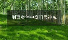 揭露刑事案件中神奇的策略和技巧，彰显其惊人威力