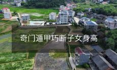 采用奇门遁甲预测的方法，巧妙决定子女身高的干支命盘排盘技术