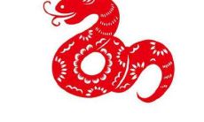 ？一起来看看详细的属蛇2022年10月运势及未来运程解析！