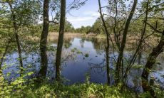 这些星座在面对挑战时始终保持镇静,经常能发挥出他们在困难情境下的才能表现