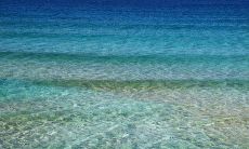 哪些星座喜欢伪装自己的文化水平，但实际上却无知无识？