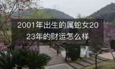 如何预测2023年2001年出生的属蛇女的财运？