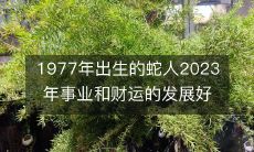 探究1977年出生的蛇人2023年职业和财务前景的发展如何?