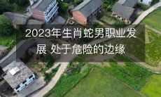 聚焦于2023年的生肖蛇男职业发展:一份充满危机的前景展望