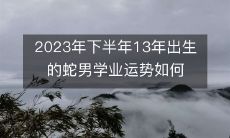探究未来:2023年下半年蛇男13岁学业运势预测