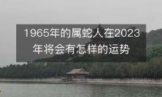 未来的2023年里，属蛇人的1965年生肖将会迎来怎样的运势呢？