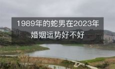 如何评估1989年出生的蛇男在2023年的婚姻运势？