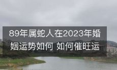 如何提升在2023年的婚姻运势？- 从属蛇人的视角分析
