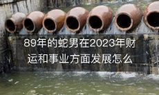 Fortunes and Career Prospects of the Snake Man Born in 1989 Forecasted for 2023: A Comprehensive Analysis