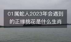 根据生肖预测,属蛇人在2023年会遇到什么生肖的正缘桃花?