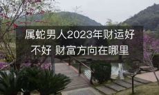 2023年,出生属蛇的男人的财运状况如何?他们的财富增长方向在何处?
