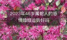 2023年46岁的属蛇人情感婚姻运势如何?将会是顺风顺水还是坎坷不平?