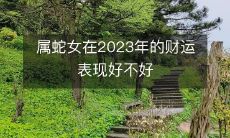 2023年,作为属蛇的女性,您的财务状况将呈现何种趋势?表现良好还是不乐观?