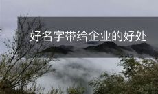 通过使用有意义、独特和易于记忆的名称,企业可以获得诸多益处
