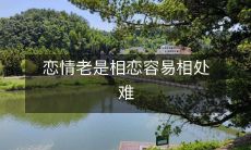 恋情何其不易，相爱容易相处难啊！