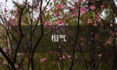 不合的两个人在一起如何调节与缓解冲突,使关系更和谐?