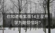 为什么在紫薇14主星开学之际,有这么多烦恼?