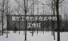 挑战忙碌生活而爱不释手:揭秘工作狂的乐在其中之道