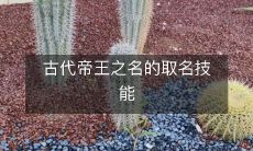 揭秘古代皇帝如何掌握取名技艺,从命名方式、命名寓意到命名秘术,一应俱全!