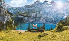 十二星座男中,遇到心仪对象时都会表现出害羞脸红的特点是如何印证的?