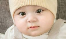 的选择与应用技巧建议