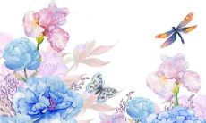 那些五行缺乏的人如何在自己的家中成功地养植物并获得最佳生长效果?