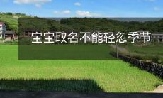 、文化和地理环境的影响，父母应认真考虑每个名字的含义和背景故事