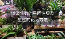 探讨斗数学中星曜属性和记忆技巧，以帮助理解和应用星宿影响因素