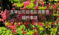 起名龙年公司时必须考虑的因素及注意事项
