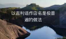 在商业领域中,使用吉利语作为店名是一种广泛采用的策略
