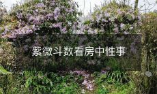 如何利用紫微斗数预测房屋中性事,实现财富与幸福的双赢?